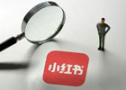小红书蒲公英怎么开通？小红书蒲公英有什么用，开通蒲公英需要注意什么？
