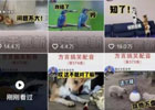 2025小白新人都可以操作的副业（方言搞笑配音视频实操）
